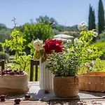 Scappo In Umbria, Casale Della Quiete * Montecchio