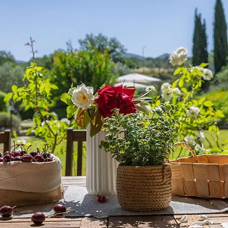 Scappo In Umbria, Casale Della Quiete * Montecchio (Terni)